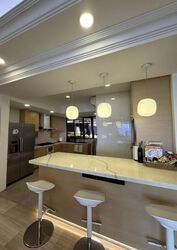 Yong An Park (D9), Condominium #617150241